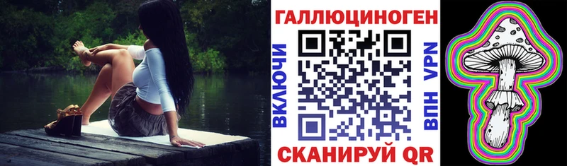 Псилоцибиновые грибы Psilocybe  Надым 